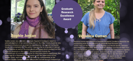 Graduate Research Excellence Award